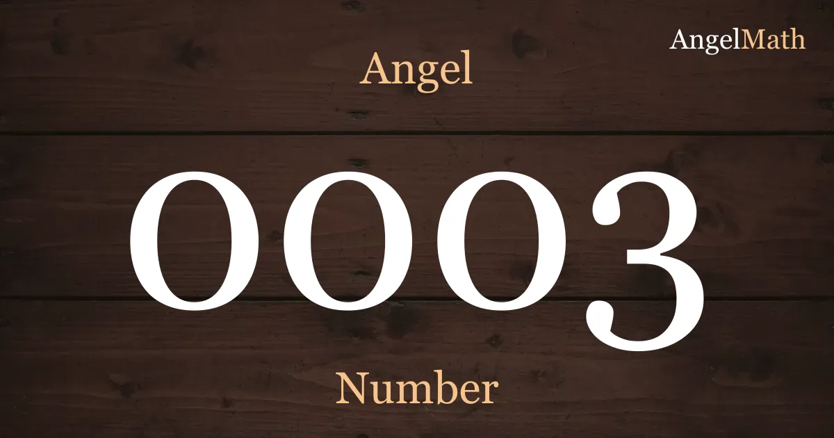0003 Angel Number meaning
