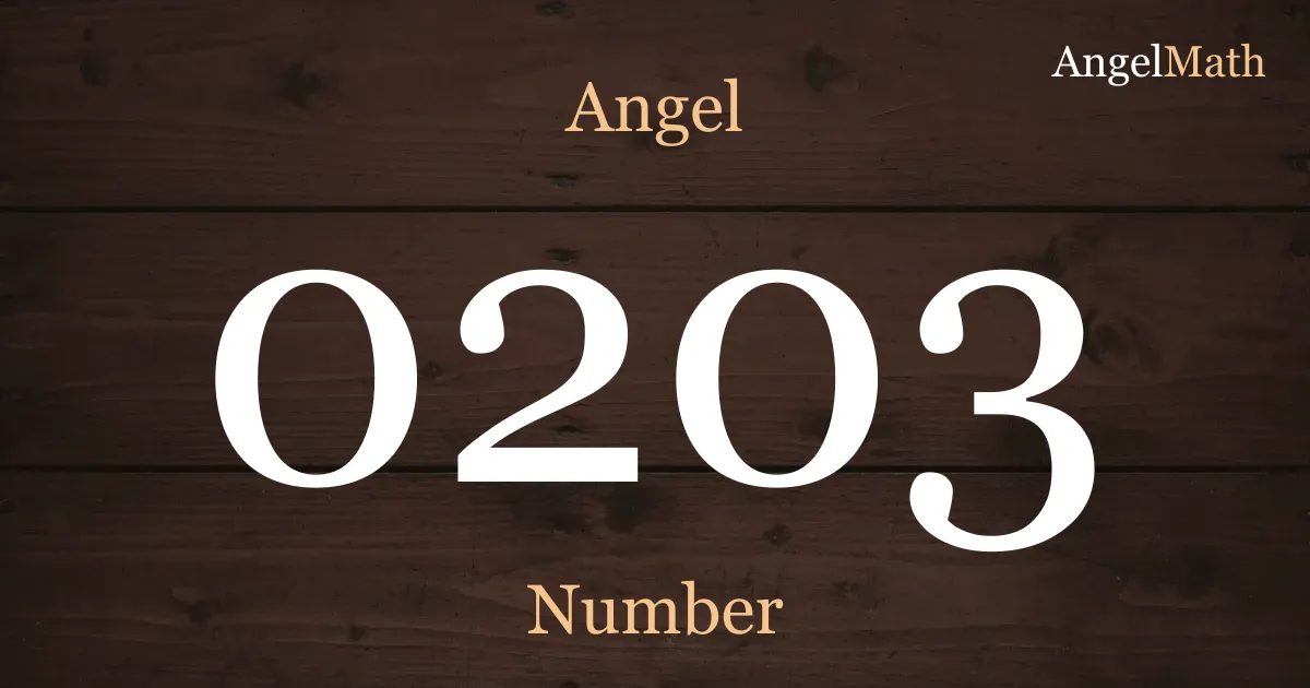 0203 Angel Number meaning