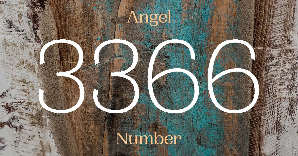 3366 Angel Number meaning