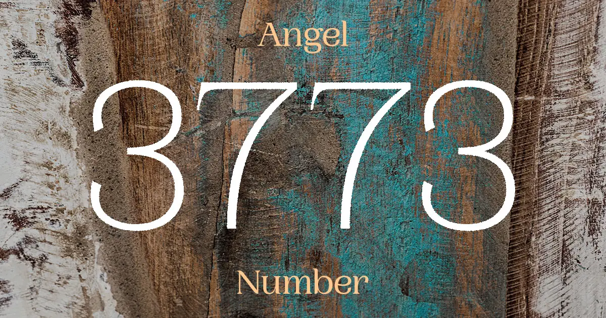 3773 Angel Number meaning