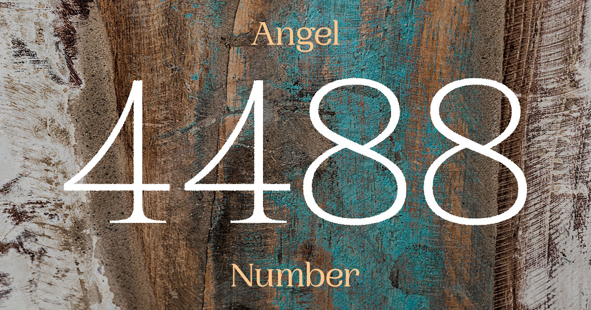 4488 Angel Number meaning