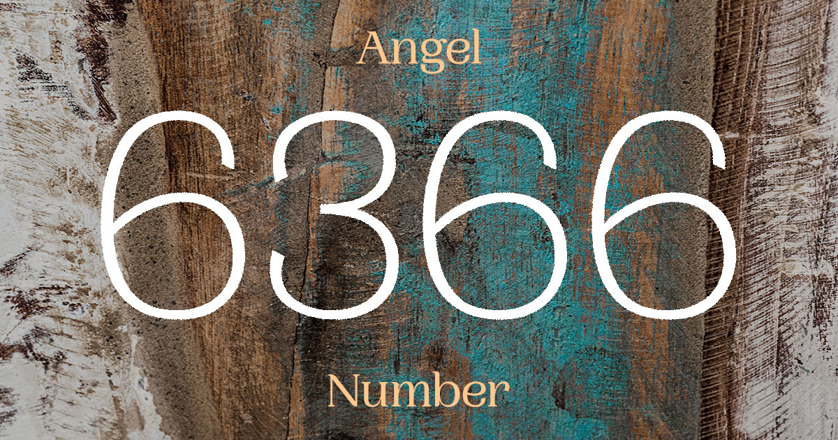 6366 Angel Number meaning