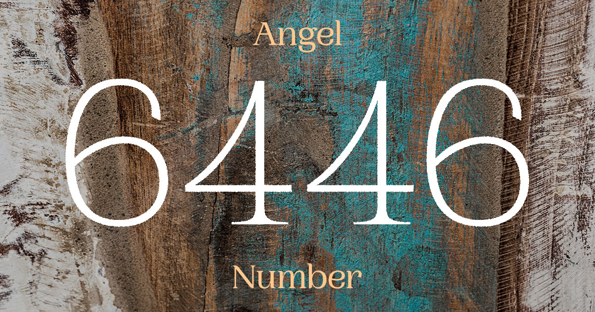 6446 Angel Number meaning