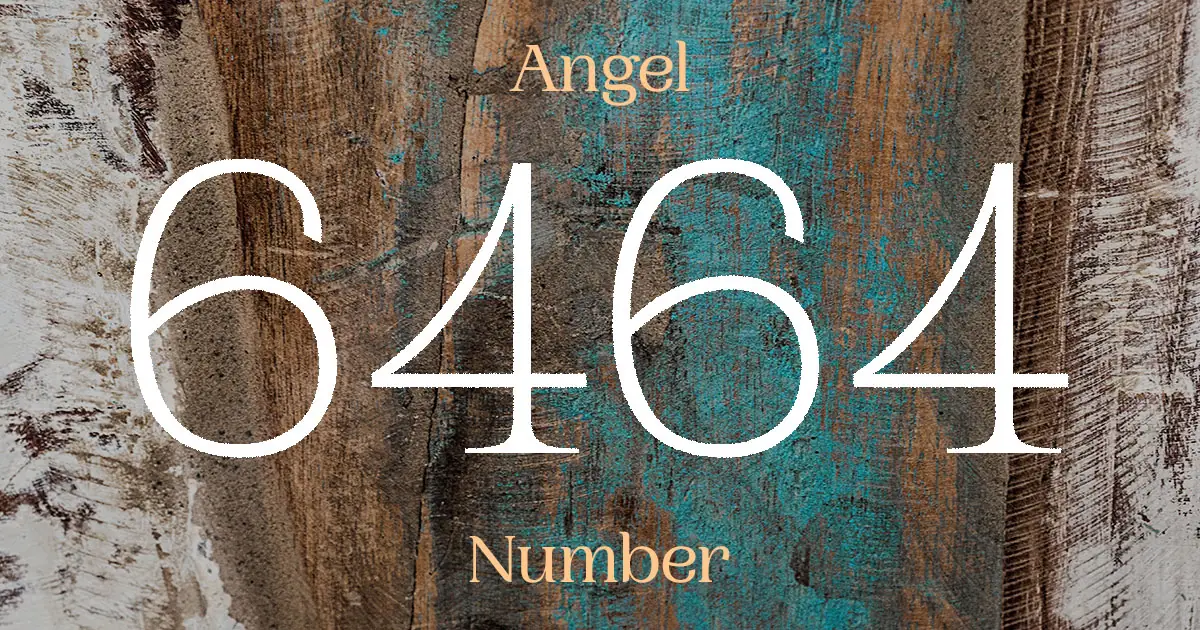 6464 Angel Number meaning