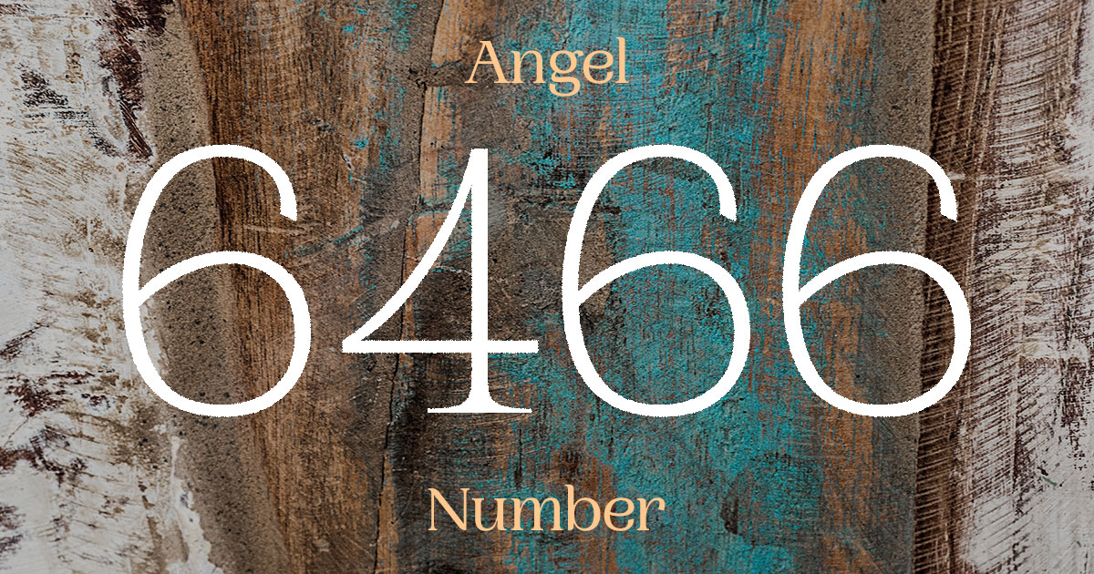 6466 Angel Number meaning