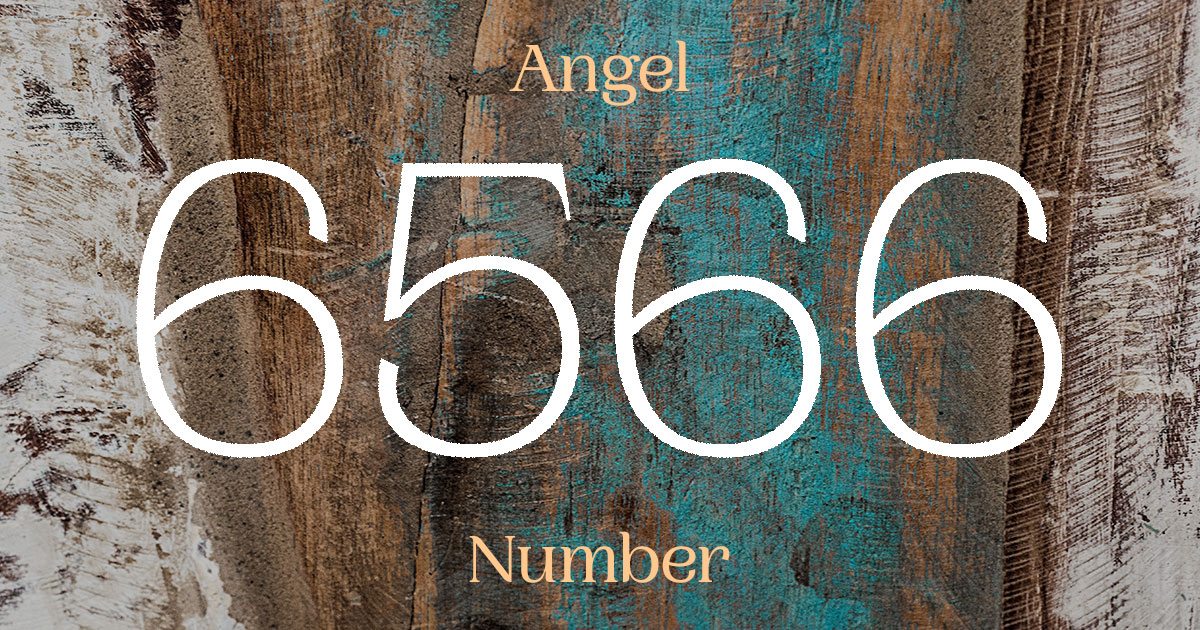 6566 Angel Number meaning