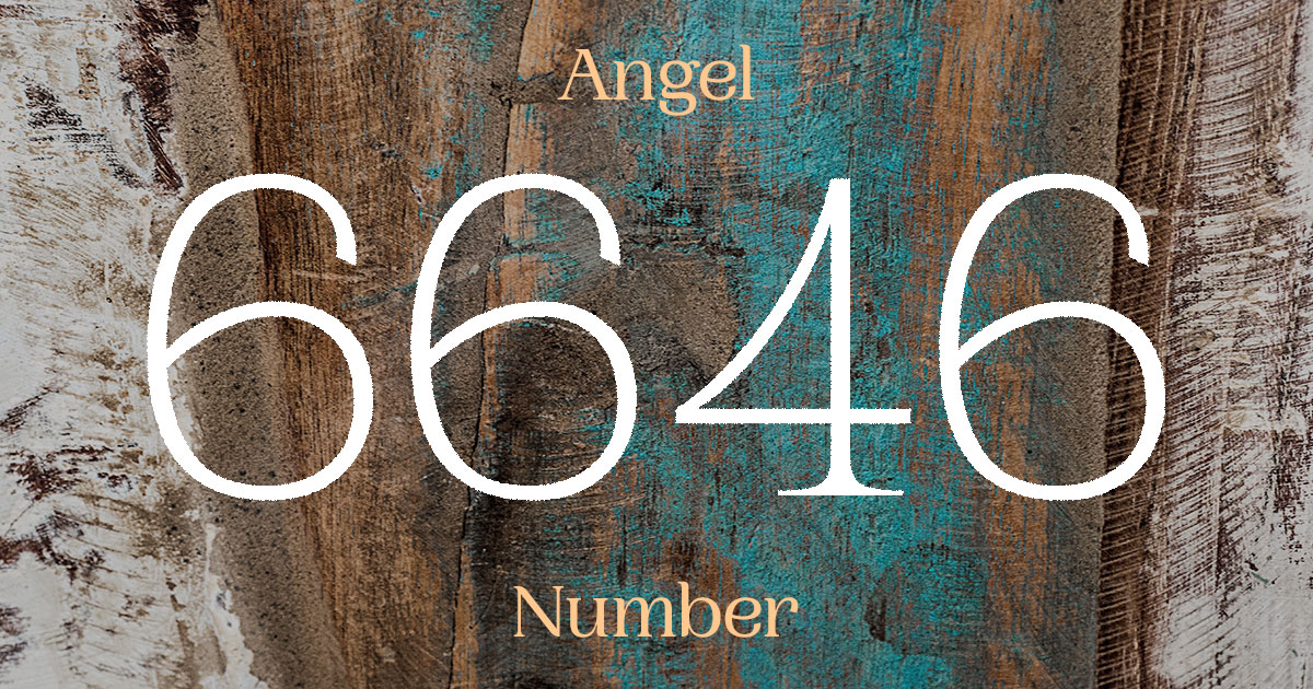 6646 Angel Number meaning