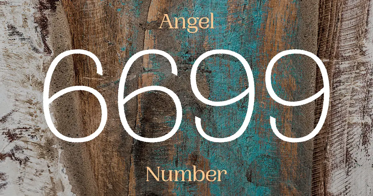 6699 Angel Number meaning
