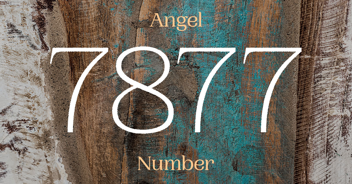 7877 Angel Number meaning