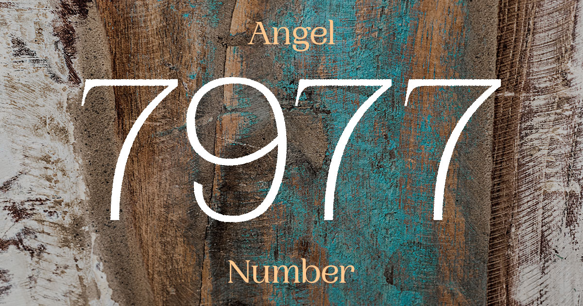 7977 Angel Number meaning