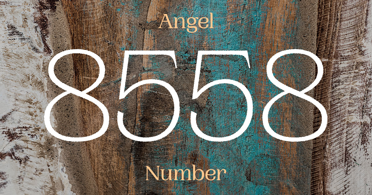 8558 Angel Number meaning