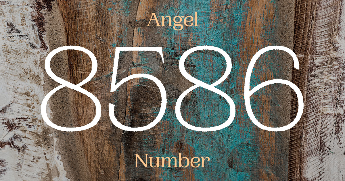 8586 Angel Number meaning