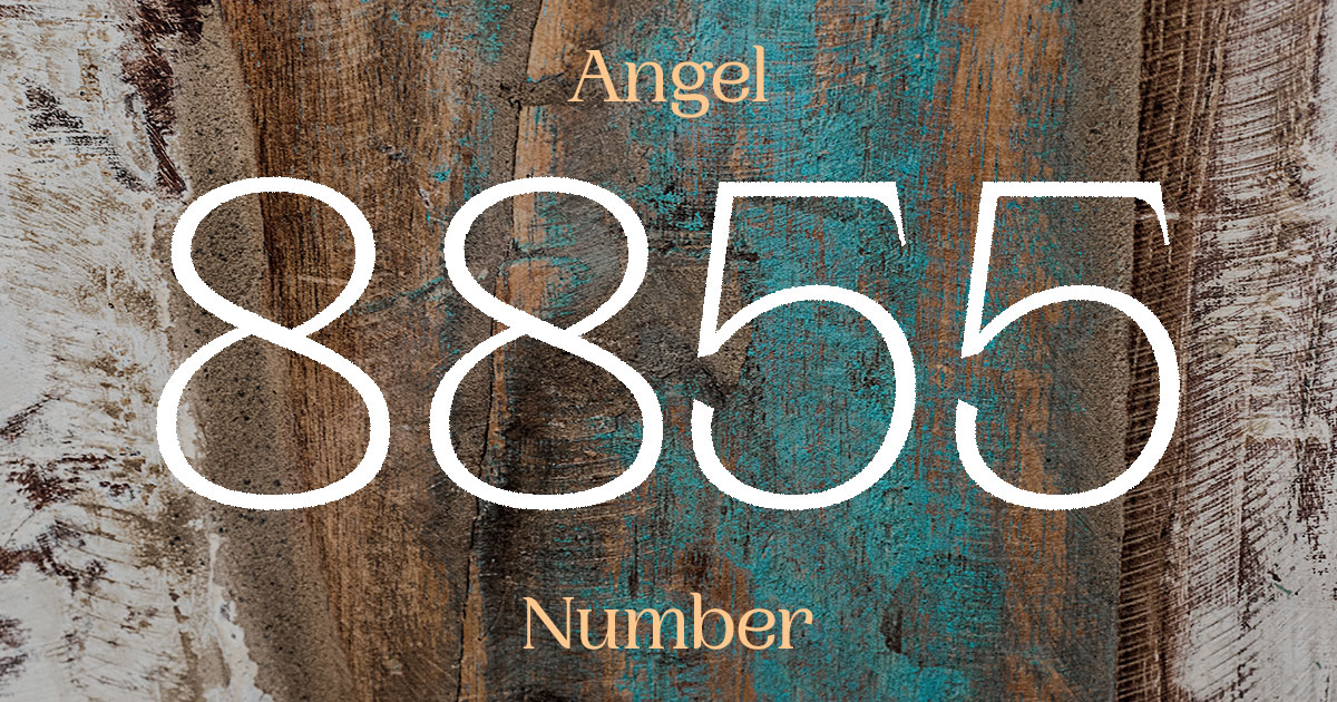 8855 Angel Number meaning