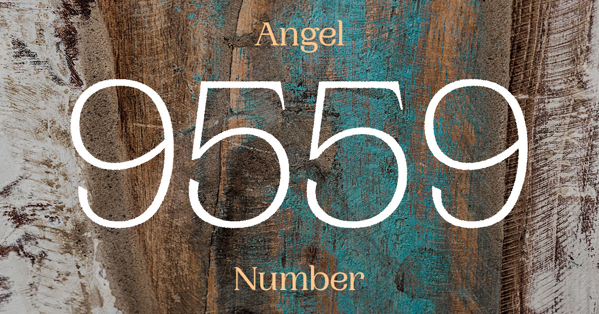 9559 Angel Number meaning