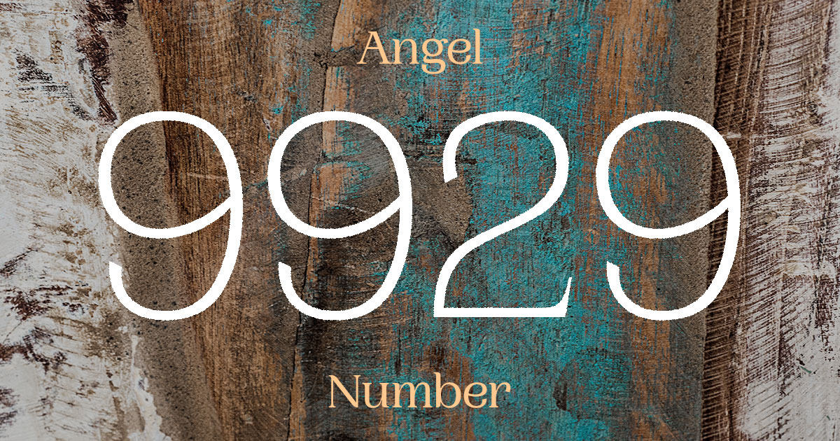 9929 Angel Number meaning