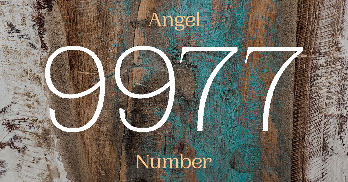 9977 Angel Number meaning